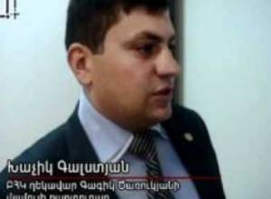 Տեսակետներ