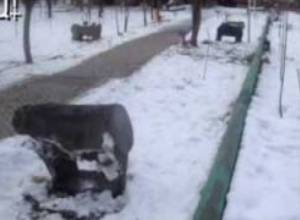 Խոյը կրկին իր տեղում է