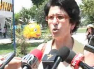 Ի պաշտպանություն դելֆինների