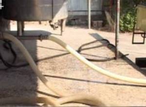 Թթվասերը թթվասեր չէր. "Աշտարակը" տուգանվեց