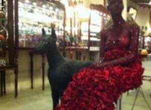 "Through Your Eyes" is back