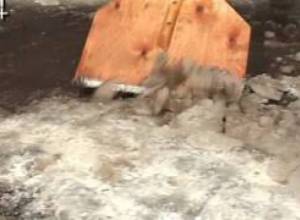 Կանայք մաքրում են փողոցները