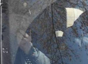 Մաշտոցի պողոտայում...