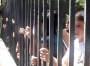 Կենդանաբանական այգին բացեց դռները