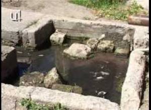 Ձկների պատճառով Գայ գյուղը ջրազրկվում է