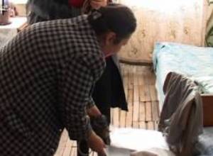 36 ընտանիքի համար մեկ զուգարան