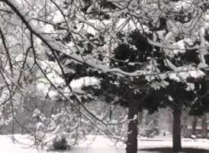 Երեւանում ձմեռ է