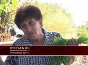 Գյուղմթերքը թանկացնում է վերավաճառողը