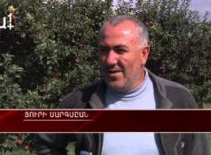 Խնձոր կոշիկի դիմաց