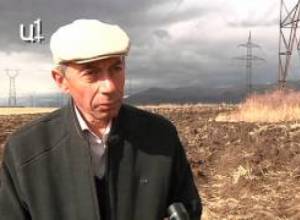 Ցորենի բերքը քիչ է