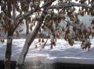 Այսօր Երևանում. ուսանողների աչքերով