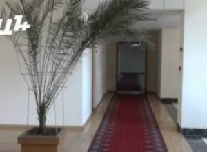 Պետությունը պաշտպանո՞ւմ է, թե պատժում