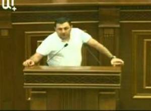 ԱԺ-ում խոսեցին Գառնու տաճարի մասին