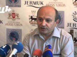 ՀՀ-ի անդամակցումը ԵՏՄ-ին  կարող է ձգձգվել. Ստ. Սաֆարյան