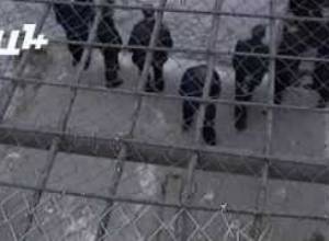 Ինչի համար են հացադուլ անում ցմահները