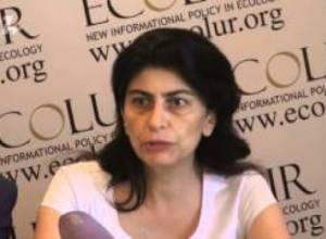 «Ապօրինի անտառահատումները կազմակերպված են  որոշ շրջանակների կողմից»