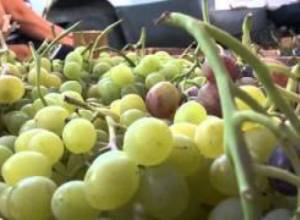 «Էական գնաճ է սպասվում». ԱՎԾ