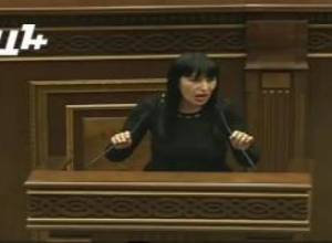 «Իզգոյ պիտի լինես, որ ներառված լինես այդ համակարգում». քննարկումներ կուտակայինի շուրջ