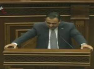 Մենաշնորհայաին տնտեսությունները ծավալվում են.պատգամավոր