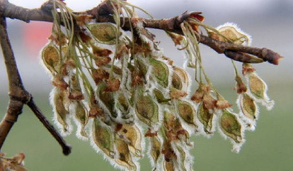 6ca9926d7ca3f0a1b7a2be191dc82f83