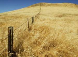 The rival silenced after a response fire