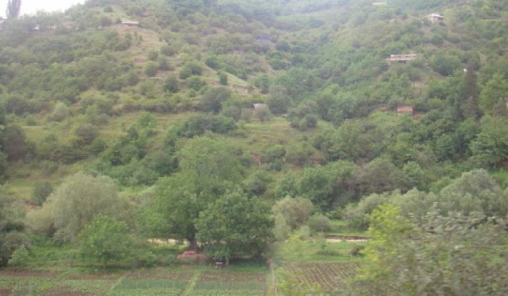 0f3a829ca6f055c26206bd0d349d29b4