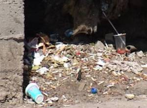 They love it indifferently