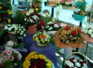 Emergency regime for florists