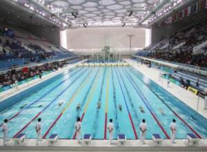 Armenian swimmer participates in Swimming World Cup