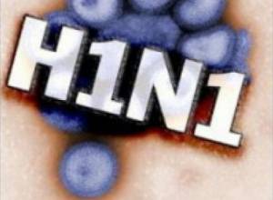 Swine flu officially confirmed in Armenia