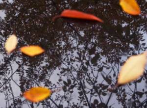 No rain or snow, but low temperatures