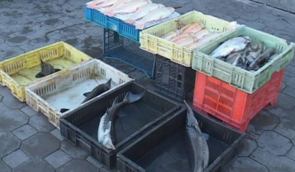 948bfe82b2adb2ebfbac77d8963a8496