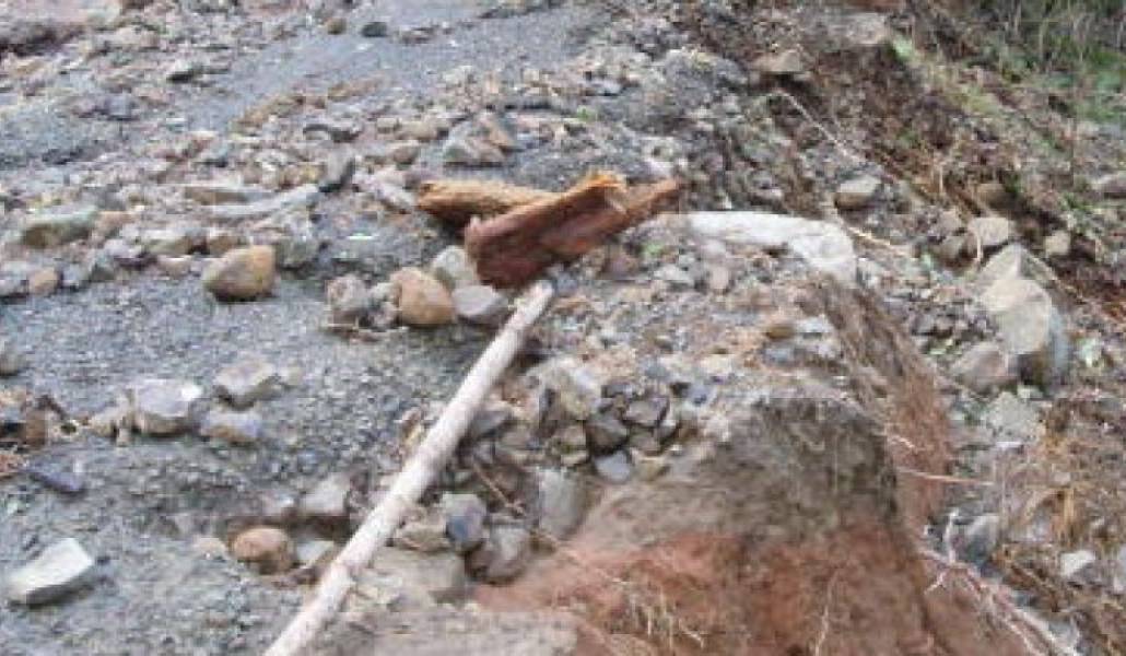 11610ea1233f9f6f9e4580bf933a08de