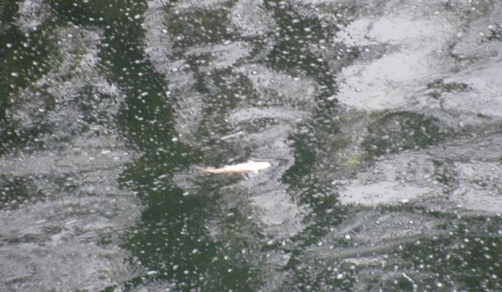 179a5bfb33df25a94ec6c92c6e0220b5