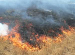 Fire at "Tanguts Dzor"