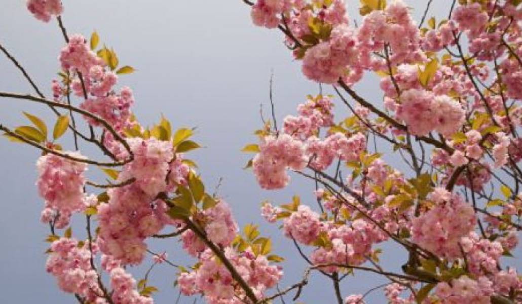 f966f32851ca563f56d2a3d25f627b4d