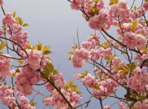 Temperature will continue dropping