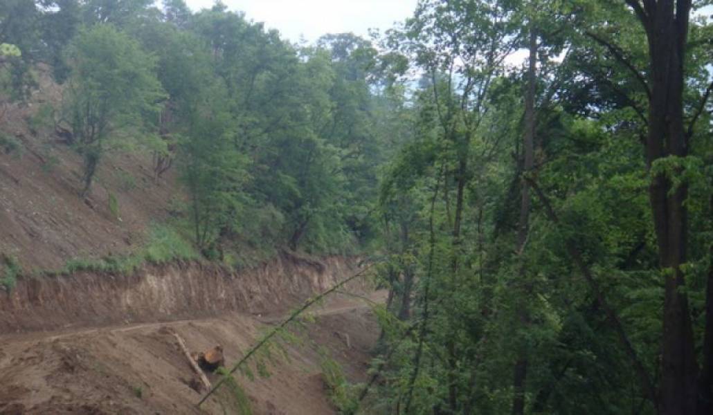 2a29ae56cae26ecd173dae73cc599027