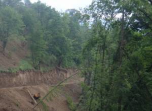 Ecologists to start hunger strike