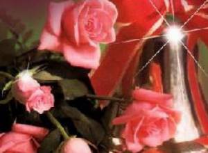 Fundraising by the parents' will?