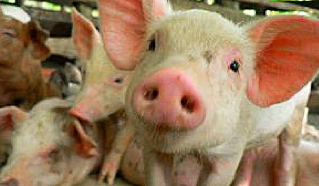 2df8efe9e056013479ef9cf0e9dfab59