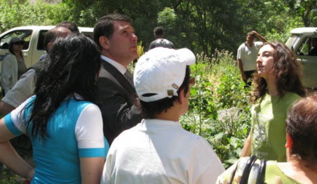 8d9fc663a1e08965fcb882bb3781c133