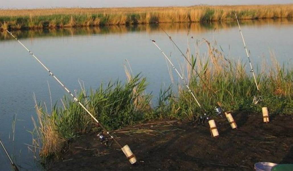 07aa6cfea78d68fad2abcf2bb384c242