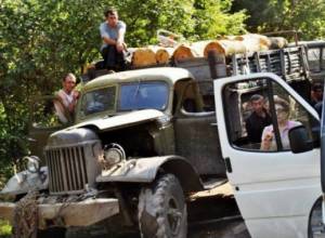 Forest is being eliminated