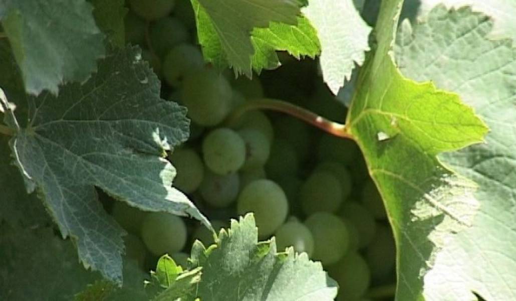 046cd90ef0e110908fb28b973d44300e