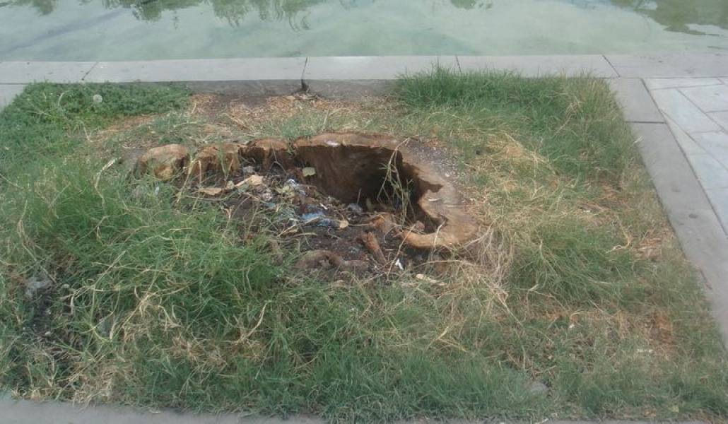 3a20c7f2bdc583d0b89a7bc32ac8be90