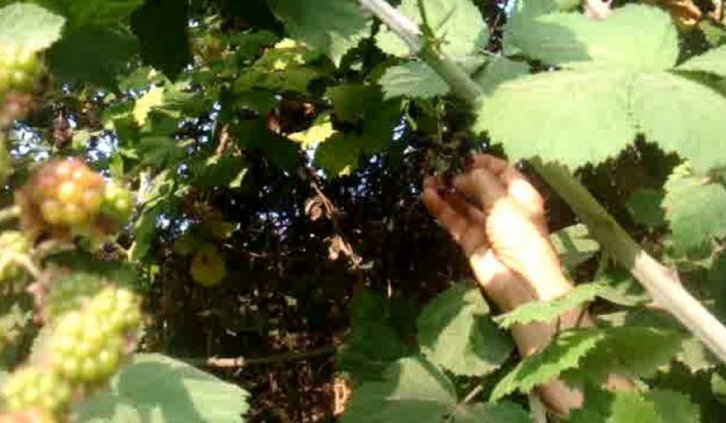 dfacd0c98e165b04f16c9d02e8f156f8