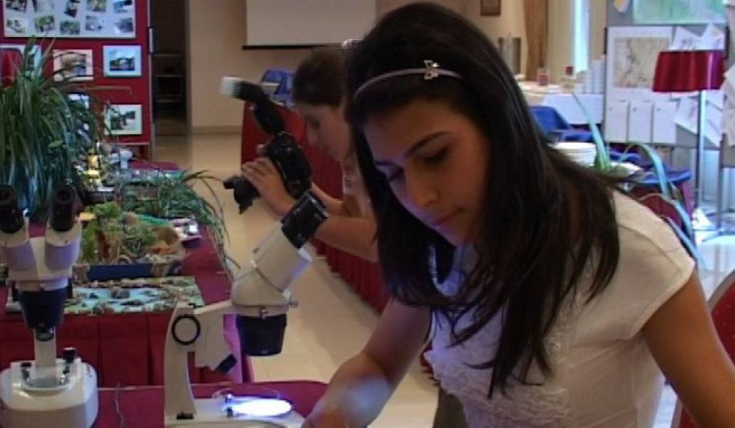 d4a597d52442b8cc7a31e506965e1192