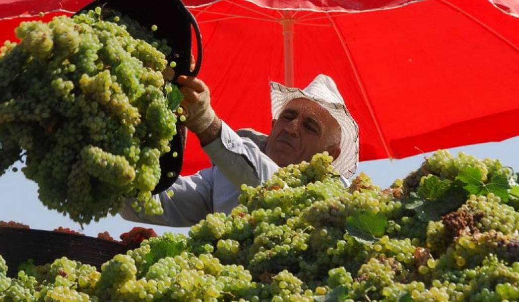 09f0add6411082dbc16c2c559980f73f