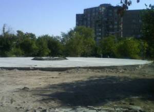 Is there permission to import dolphins?